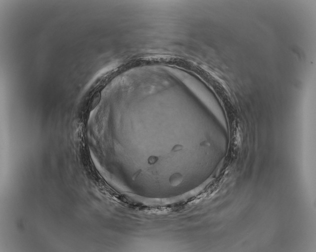 X0000112091351200908181255