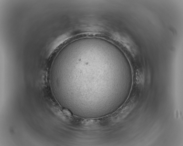 X0000112091352200908181255