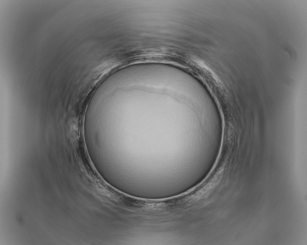 X0000112091353200908181255