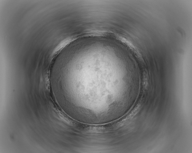 X0000112091354200908181255