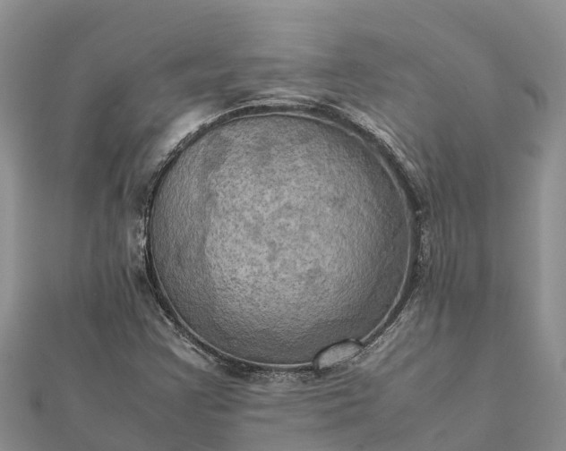 X0000112091355200908181255