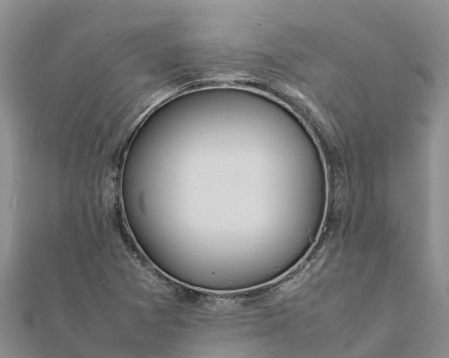 X0000112091361200908181255