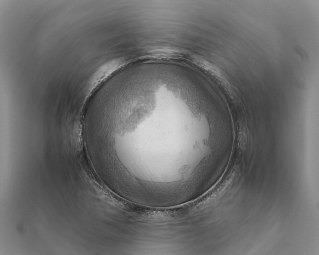 X0000112091362200908181255