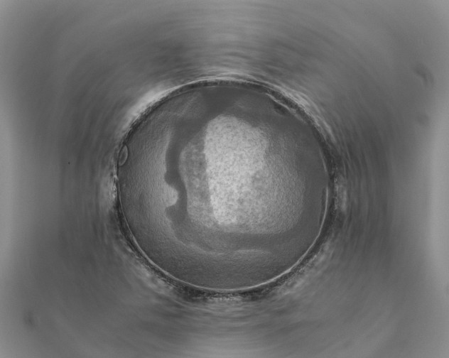 X0000112091363200908181255