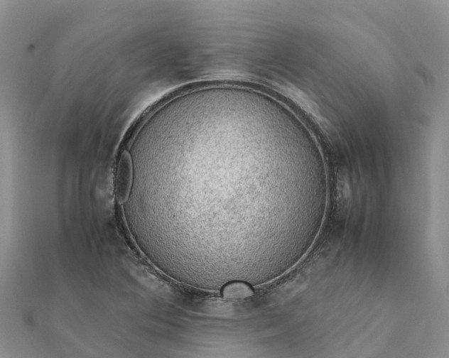 X0000112091364200908181255