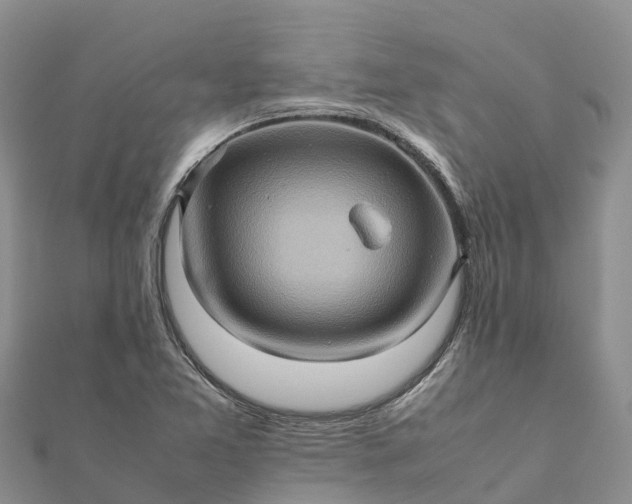 X0000112091365200908181255