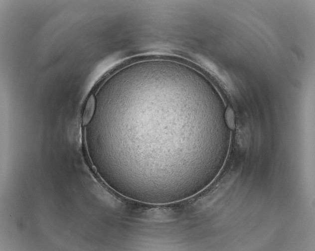 X0000112091368200908181255