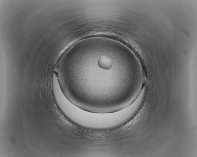 X0000112091369200908181255