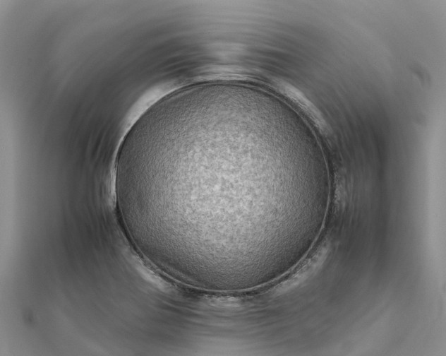 X0000112091370200908181255