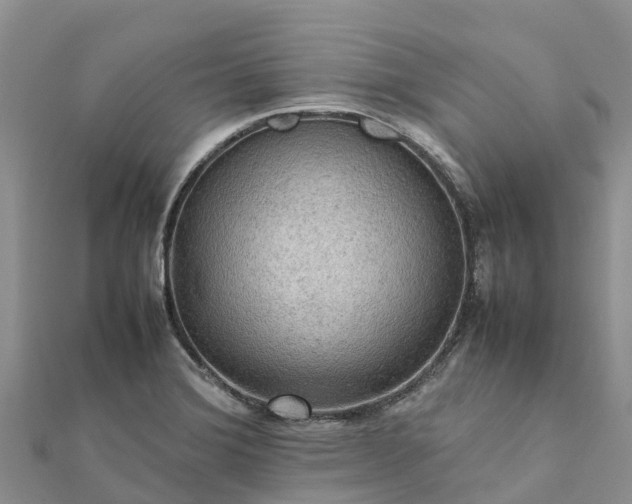 X0000112091372200908181254