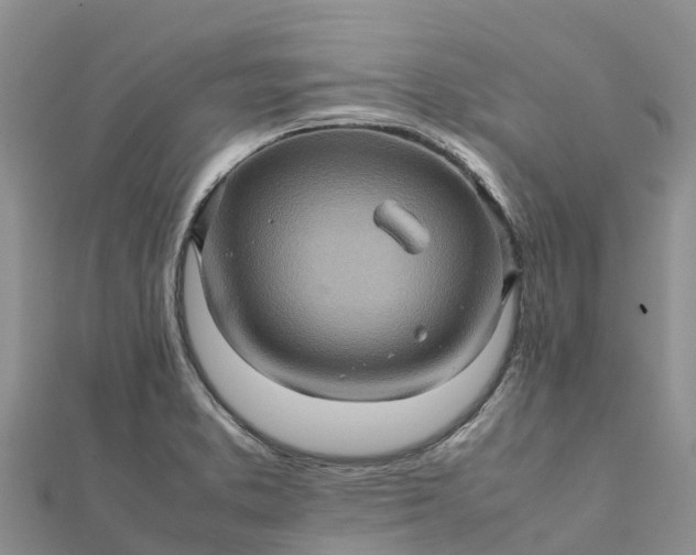 X0000112091373200908181254