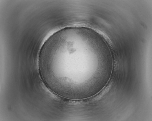 X0000112091374200908181254