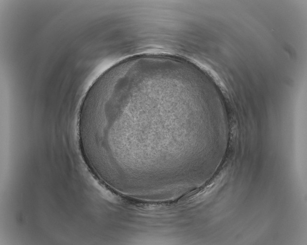 X0000112091375200908181254