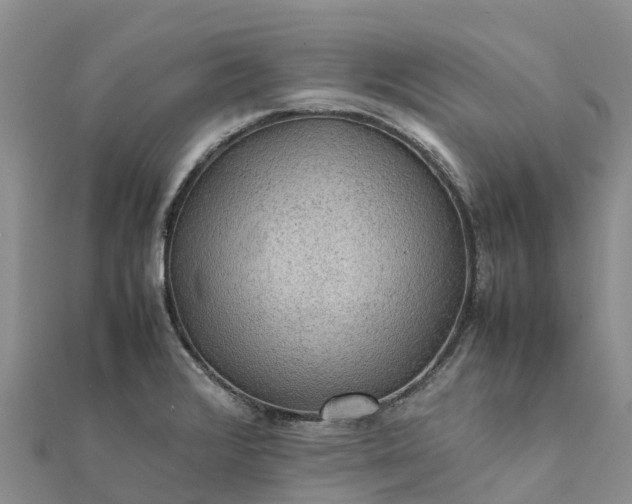 X0000112091376200908181254