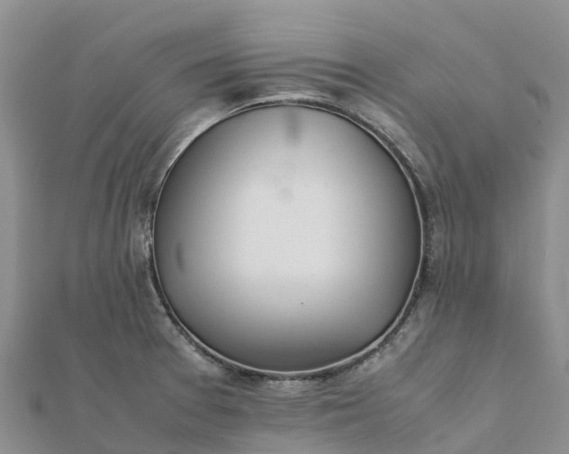 X0000112091377200908181254