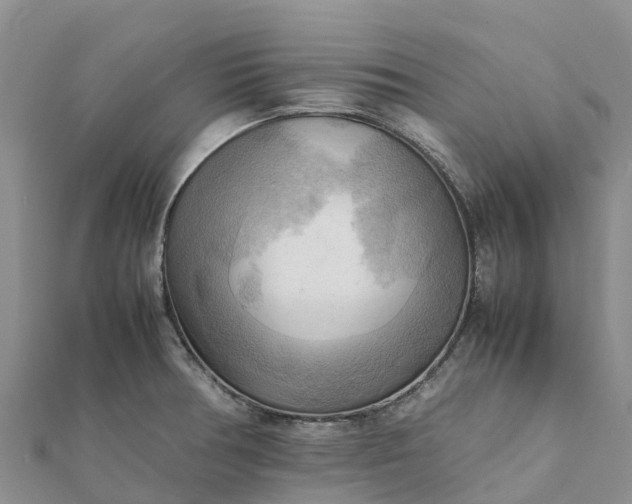 X0000112091378200908181254