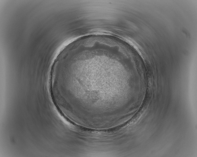 X0000112091379200908181254