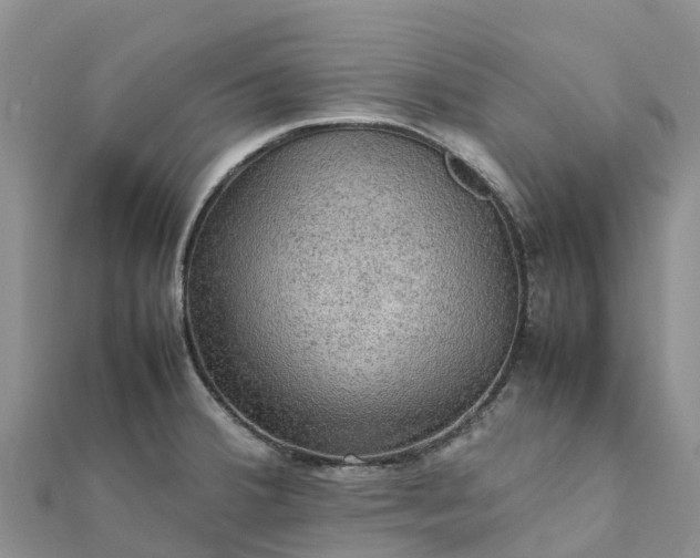 X0000112091380200908181254