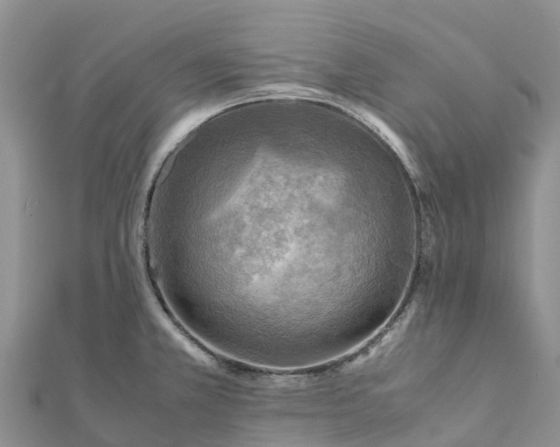 X0000112091381200908181254