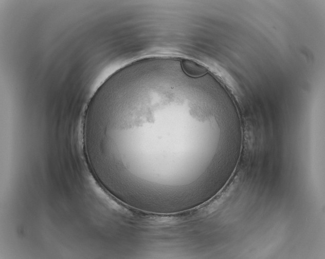 X0000112091382200908181254