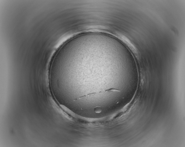 X0000112091384200908181254