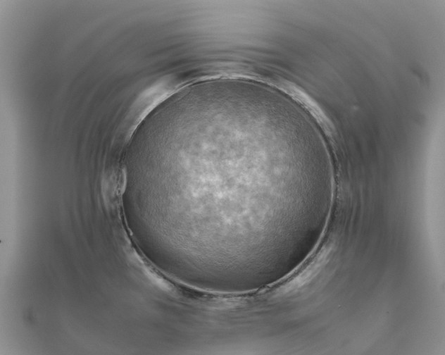 X0000112091385200908181254