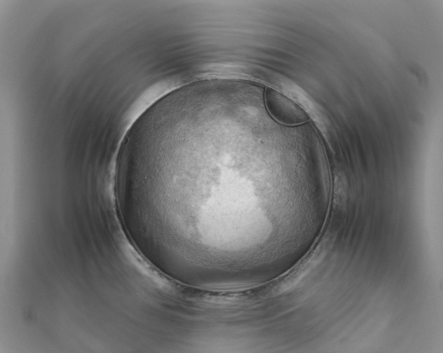 X0000112091386200908181254