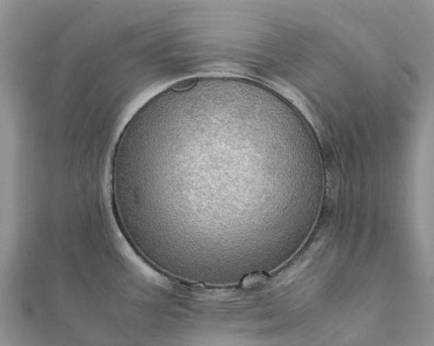 X0000112091387200908181254