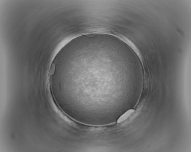 X0000112091389200908181254