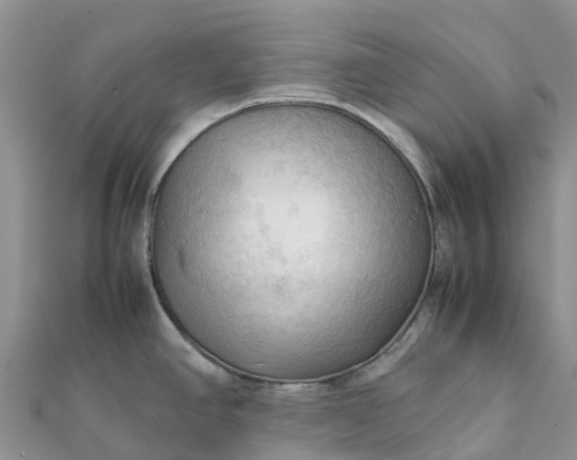 X0000112091390200908181254