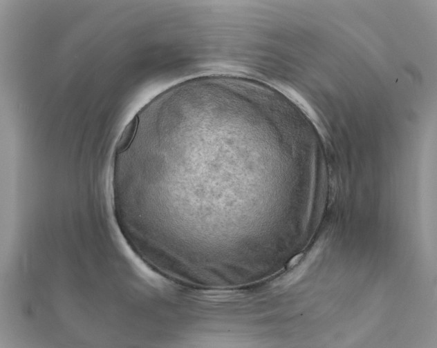 X0000112091391200908181254