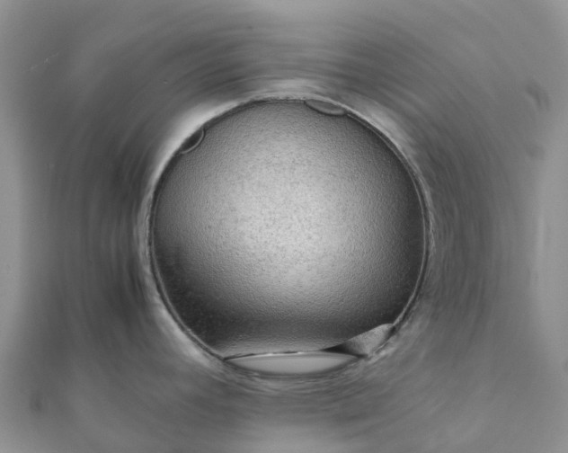 X0000112091392200908181254