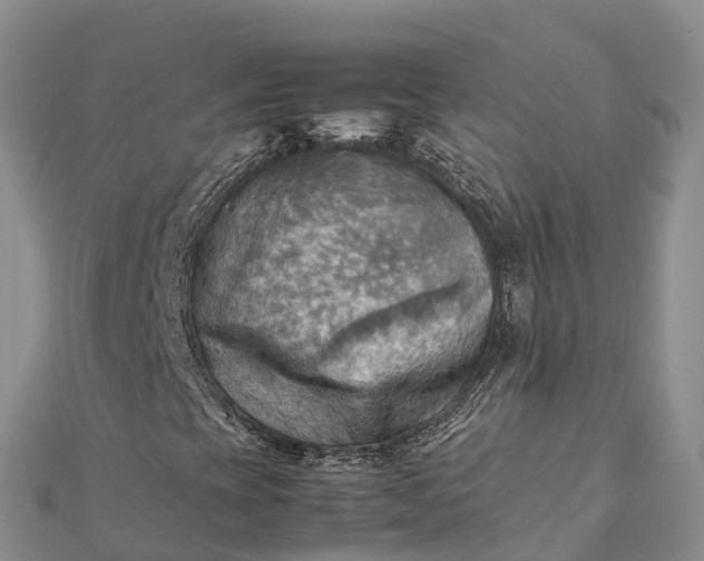 X0000112091393200908181253