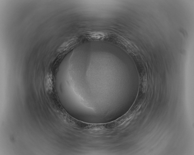 X0000112091394200908181253