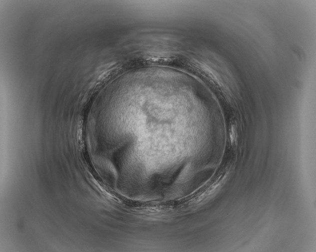 X0000112091396200908181253