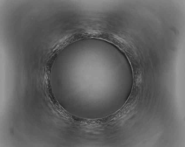 X0000112091397200908181253