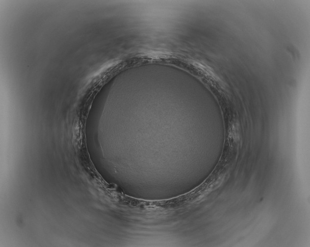 X0000112091398200908181254