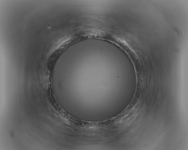 X0000112091399200908181254