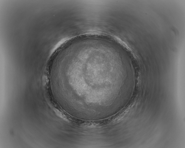 X0000112091400200908181254