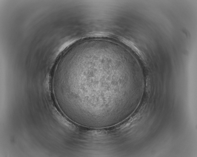 X0000112091404200908181254