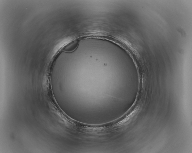 X0000112091405200908181254