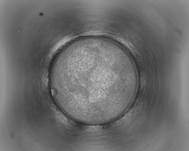 X0000112091406200908181254