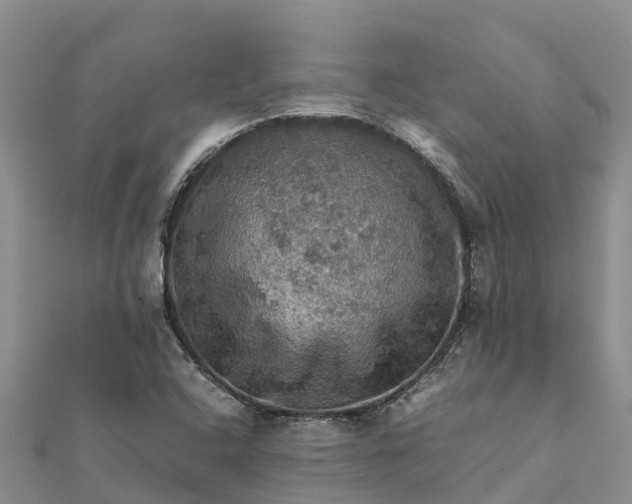 X0000112091408200908181254