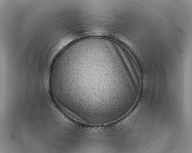 X0000112091410200908181254