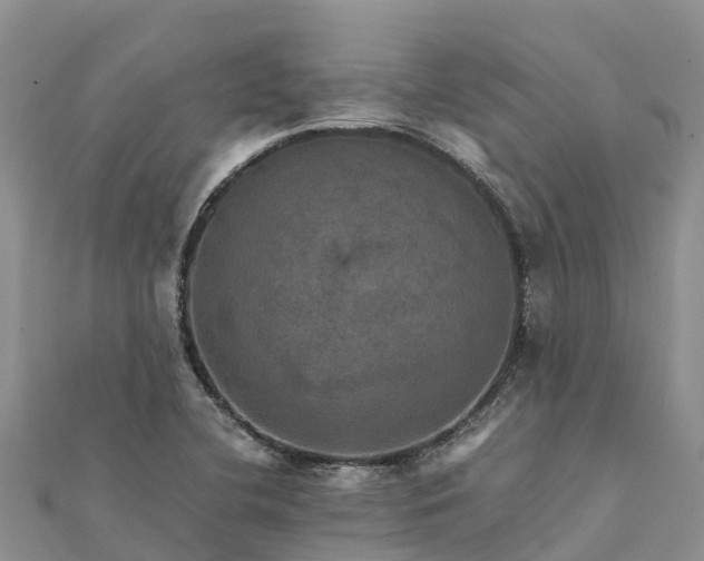 X0000112091412200908181254