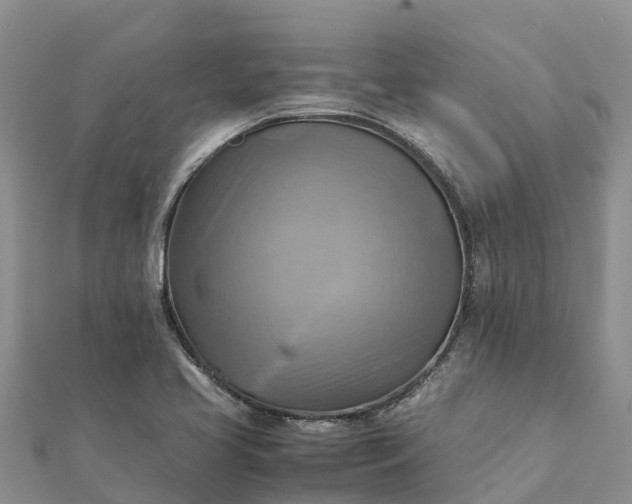 X0000112091413200908181254