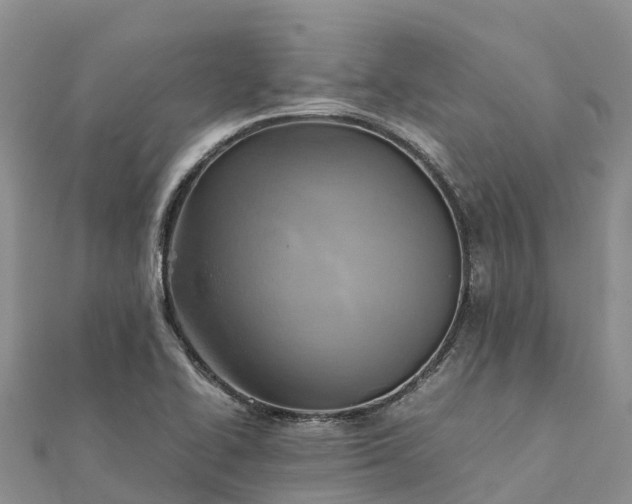 X0000112091414200908181254