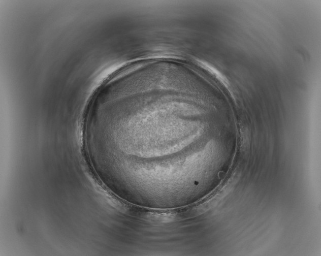 X0000112091415200908181254