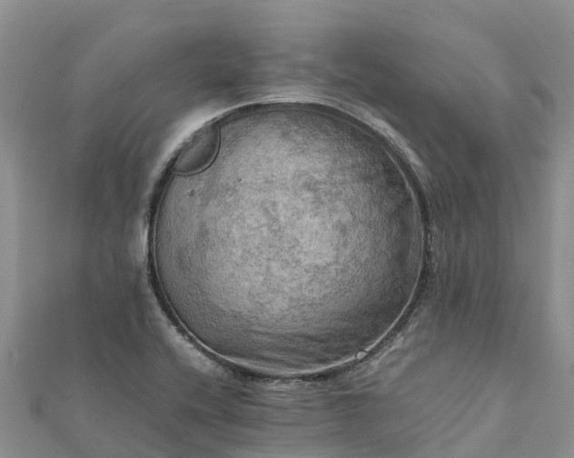 X0000112091416200908181254