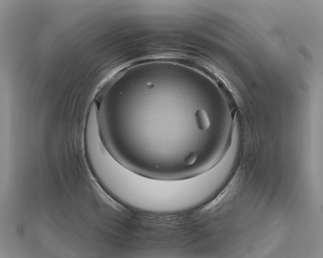 X0000112091417200908181254